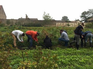 Les élèves de l'Ecole Ferrandi dans le potager du Domaine de Toury  